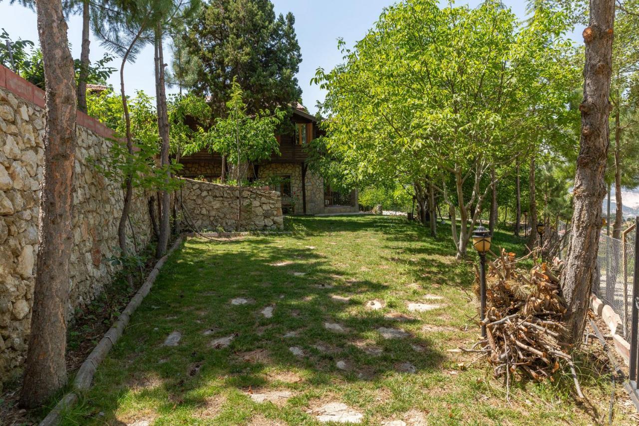 Dağ evi Feslikan Chalet *